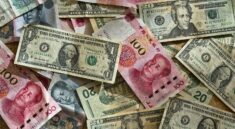 assorted banknotes