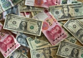 assorted banknotes