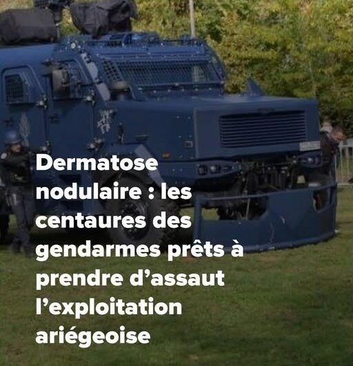 Ariège « On ne massacre pas un troupeau impunément »